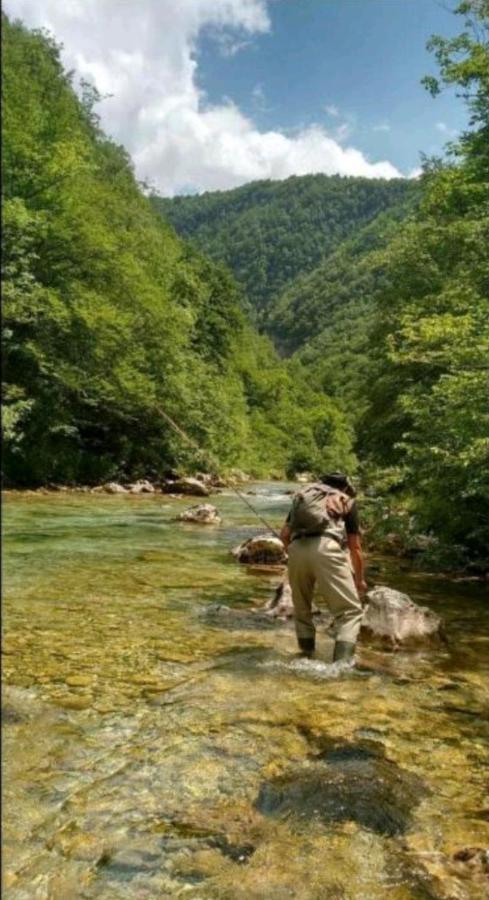 Village House Gradac Savnik Εξωτερικό φωτογραφία